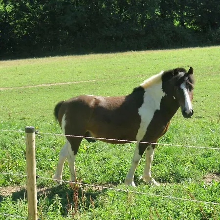 Domaine De Cimelia * Fauch