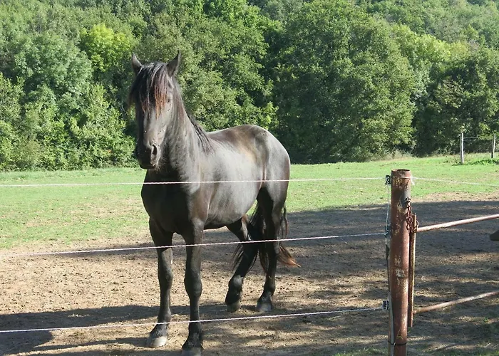 Tatil Evi Domaine De Cimelia *