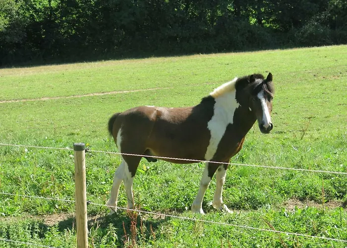 Domaine De Cimelia * Fauch